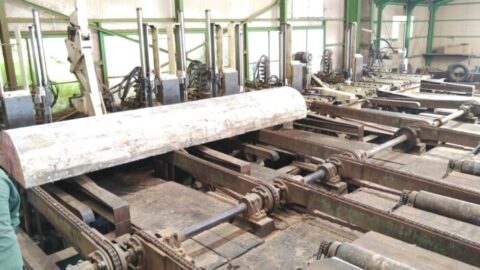 ご無沙汰しております。